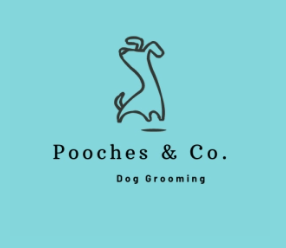 Pet Service – Pooches&Co