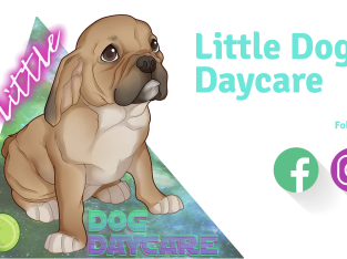 Pet Service – Little Doggy Daycare