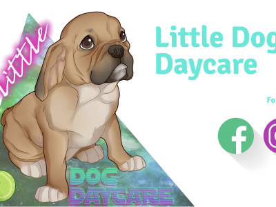 Pet Service – Little Doggy Daycare