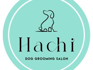 Pet Service – Hachi Dog Grooming