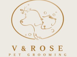 Pet Service – V&Rose Pet Grooming