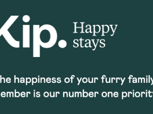 Pet Service – Doggy Day Care Hobart