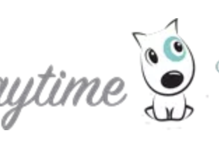 Pet Service – K9 Playtime