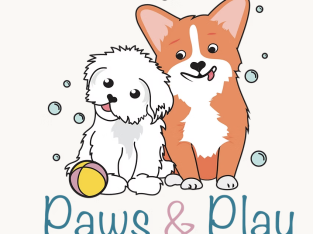 Pet Service – Paws & Play