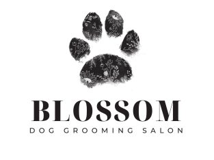 Pet Service – BLOSSOM Dog Grooming Salon