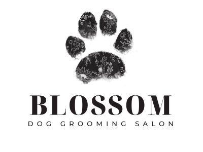 Pet Service – BLOSSOM Dog Grooming Salon
