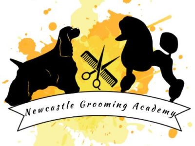 Pet Service – Newcastle Grooming Academy