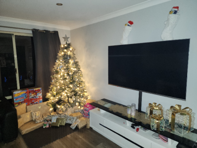 Ragdoll – Baldivis