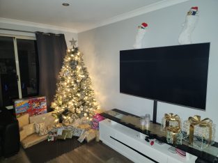 Ragdoll – Baldivis