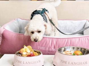 Pet Service – The Langham Hotel