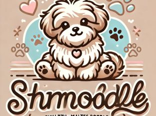 Shmoodle – Langford