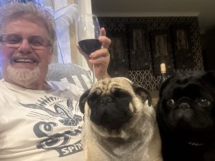 Pug – Campbelltown