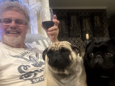 Pug – Campbelltown