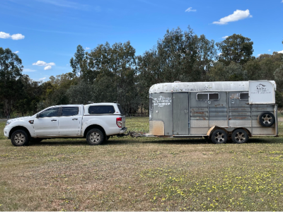 Horse – Boyup Brook