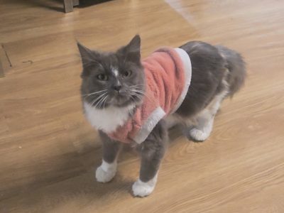 RagaMuffin – Maidstone