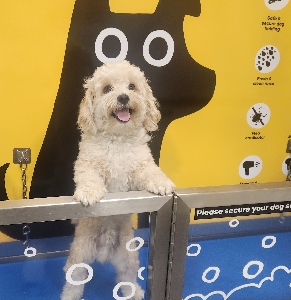 Moodle – Harris Park