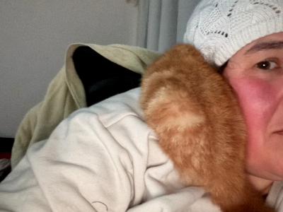 Other Cats – Telopea