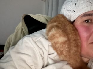 Other Cats – Telopea