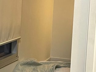 Shnoodle – Carlton