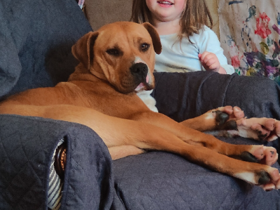 Other Dogs – Moonah