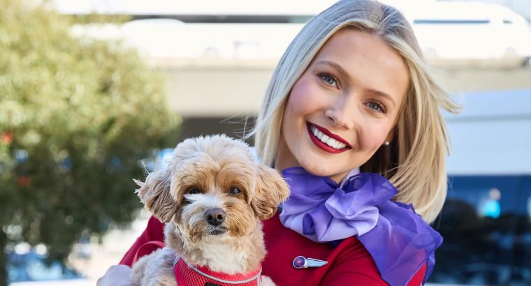 Virgin Australia Launches Pet-Friendly Flights