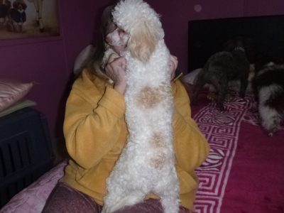 Poodle – Broken Hill