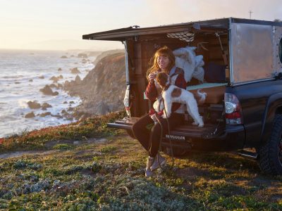 Essential Pet Travel Accessories: Your Complete Guide to Safe and Comfortable Journeys