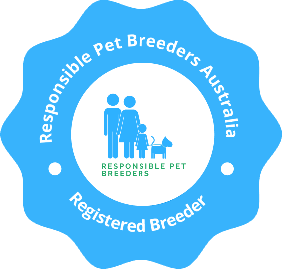 Registered RPBA Member