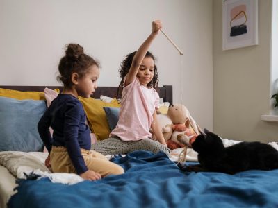 Cat Supplies Online in Australia: Your Complete Guide