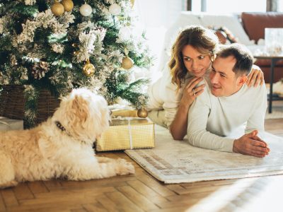 How to Stop Dogs Eating the Christmas Tree
