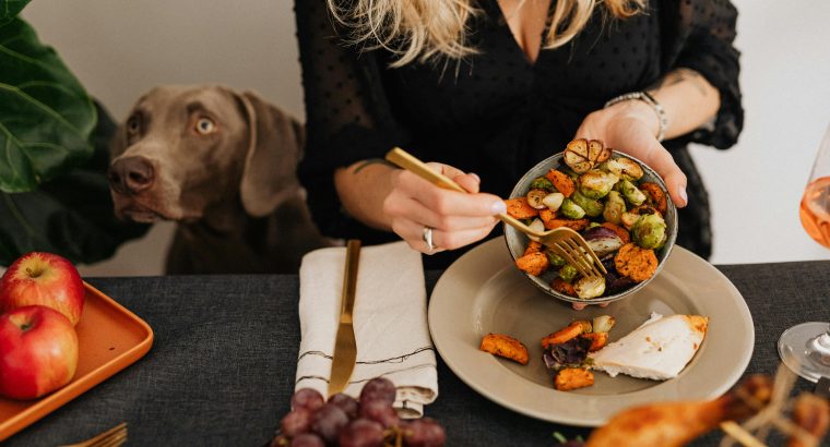 Keep Your Pets Safe This Festive Season: Common Christmas and New Year Toxins