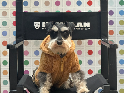 Schnauzer (Miniature) – Louise Marson