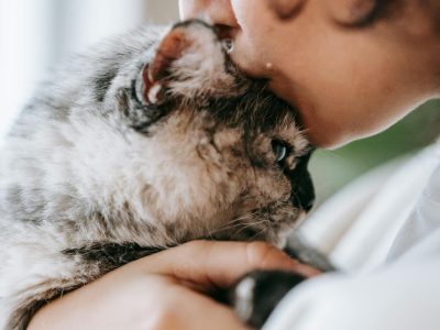 Caring for Animals: A Practical Guide for Responsible Pet Owners