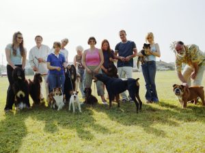 people with their dogs on a field