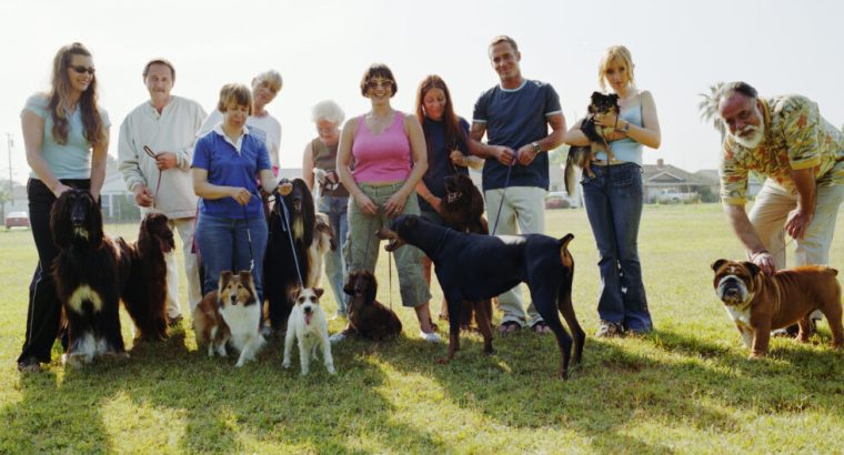 How Pet Owners Build Communities Through Online Conversations