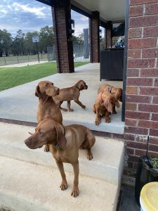 – Maryborough