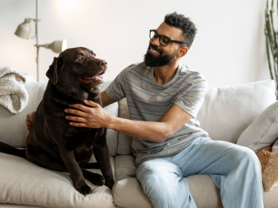 Labradors as Therapy Dogs: Why They’re Loved in Support Roles