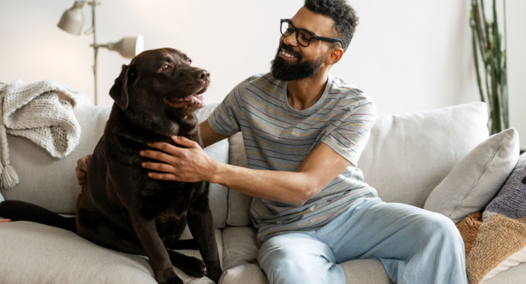 Labradors as Therapy Dogs: Why They’re Loved in Support Roles