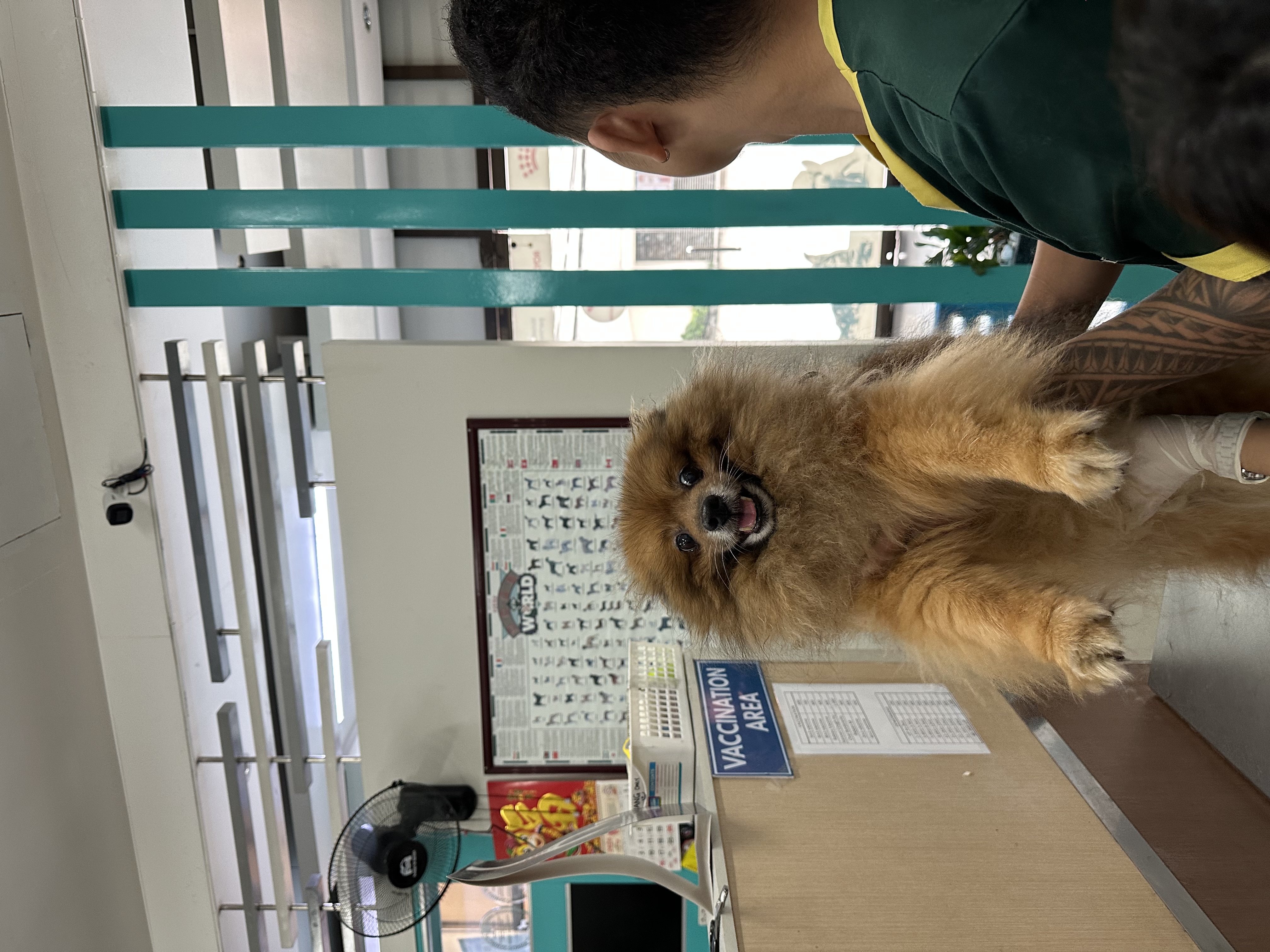 Pet Grooming – South Australia