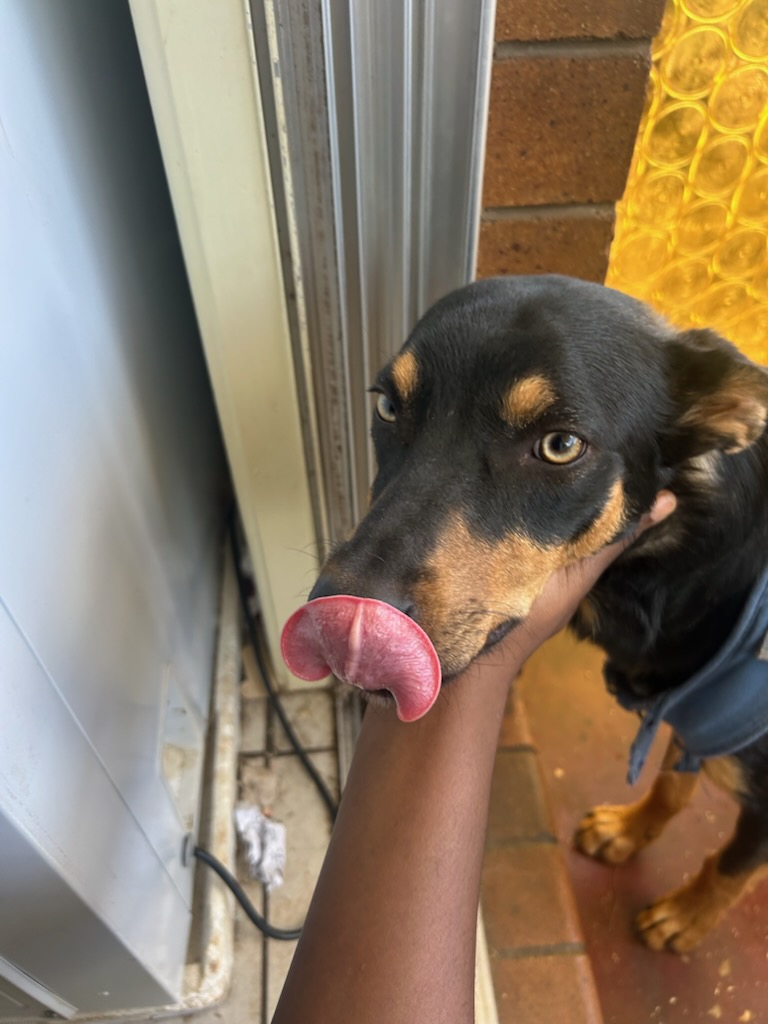 Kelpie – Leonard Patiant