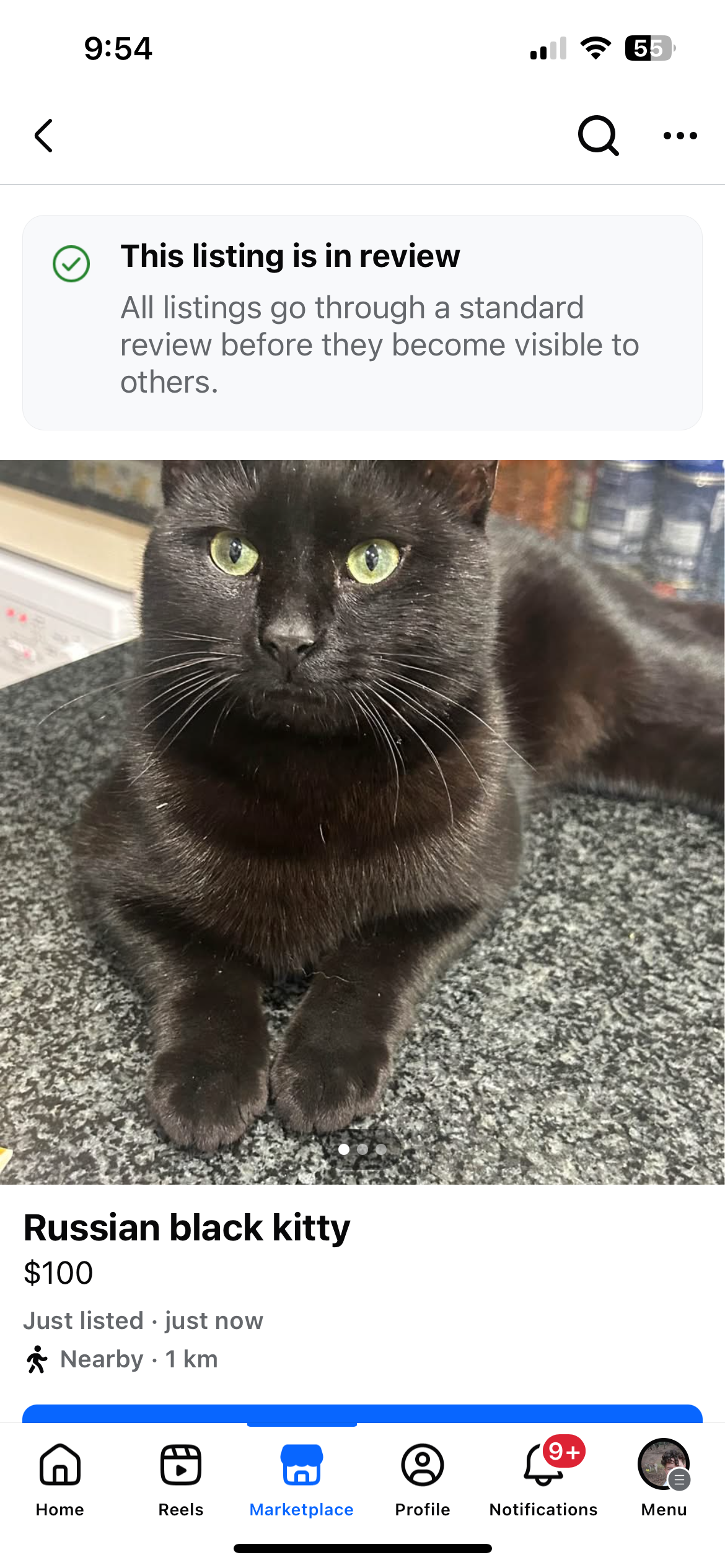 Russian – Castle Hill