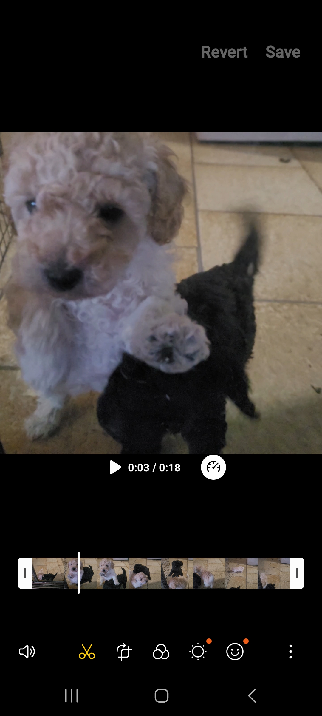 Poodle Mini – Ottoway