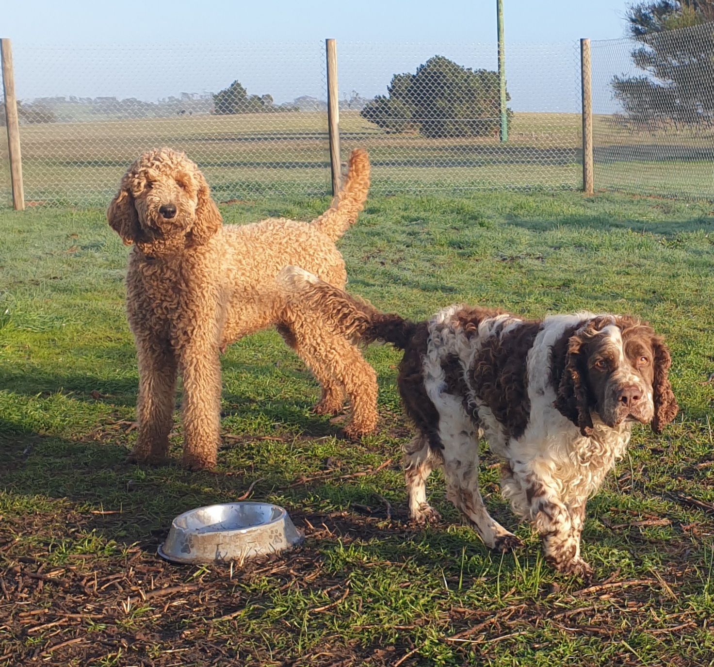 Rochelle Della Vecchia