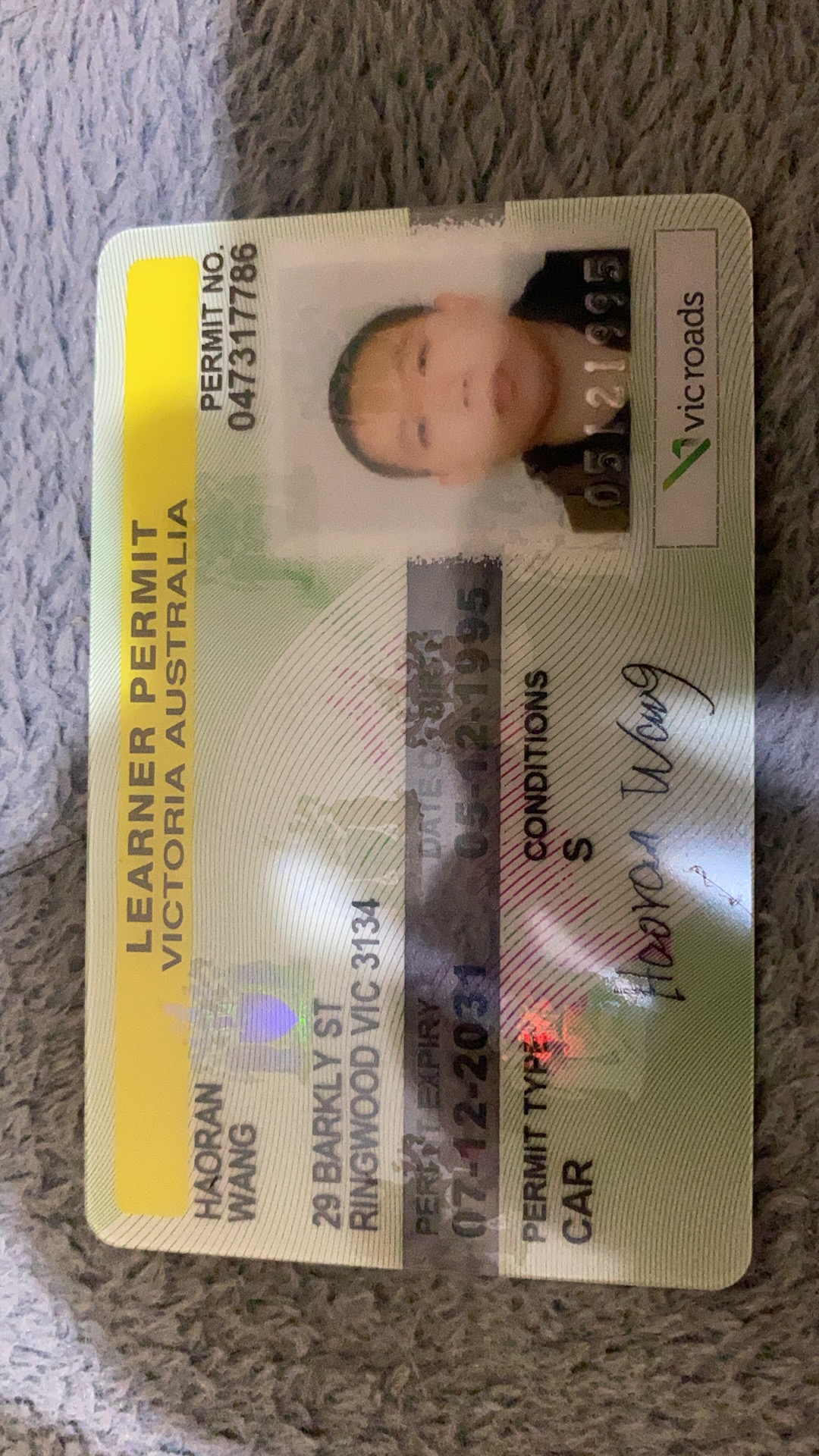 Shiba Inu /pomeranian