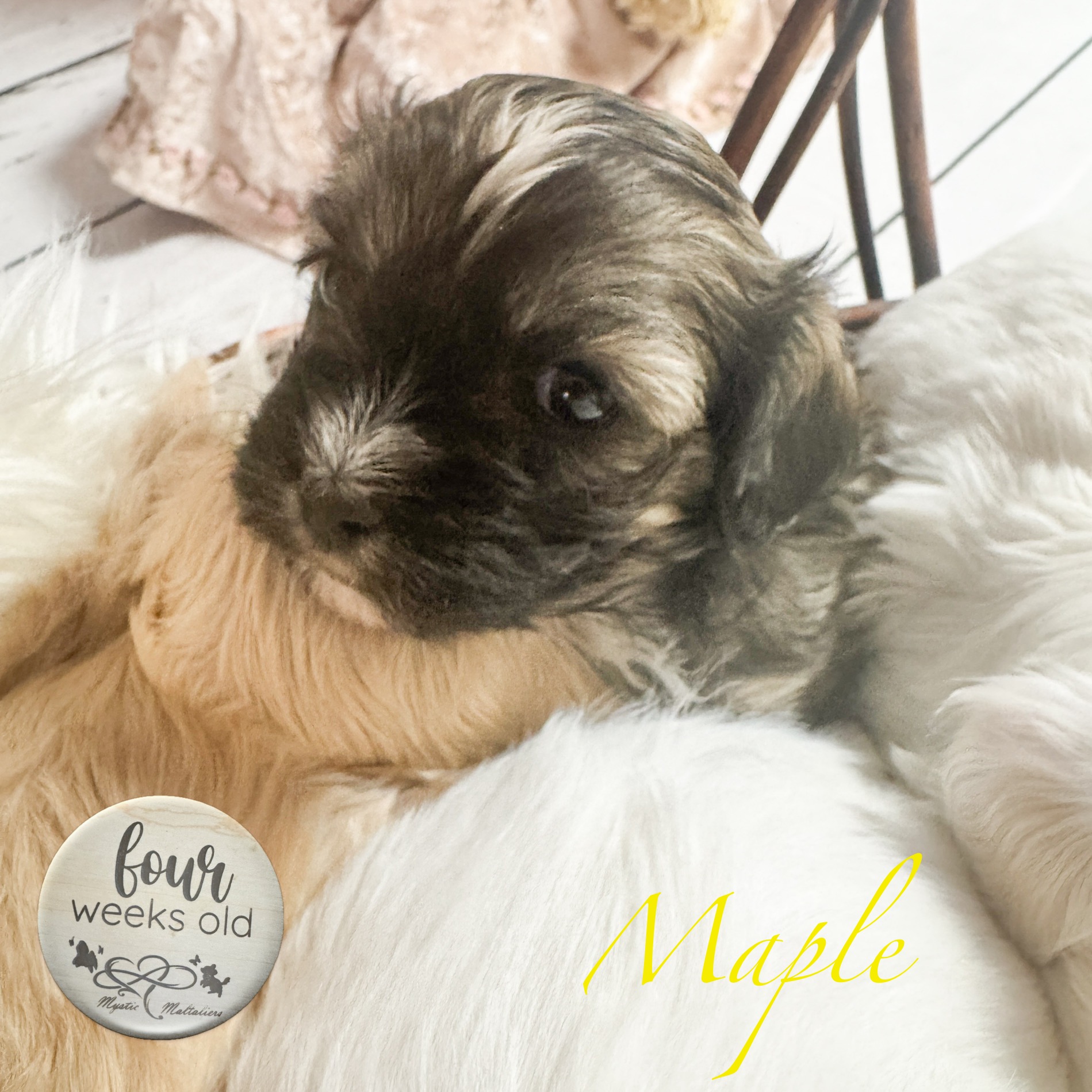 Maltalier – Mount Barker