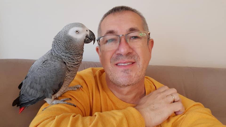 Parrots - jaddelawson
