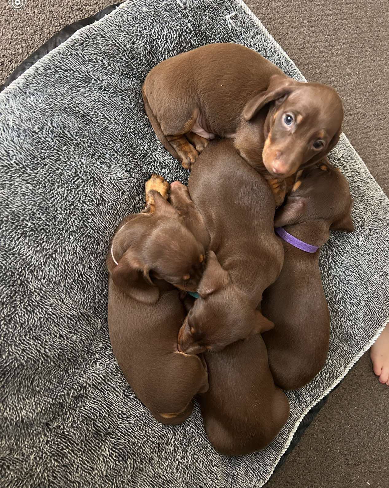 Koo Wee Rup | Kindergarten & Early Learning Australia